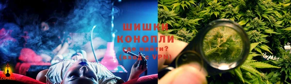 сатива Пролетарск