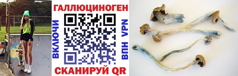 OMG как зайти  Похвистнево  Галлюциногенные грибы Psilocybe 